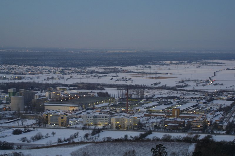 IMG_0974.JPG - Heidelberg - Emmertsgrund, Forum 7